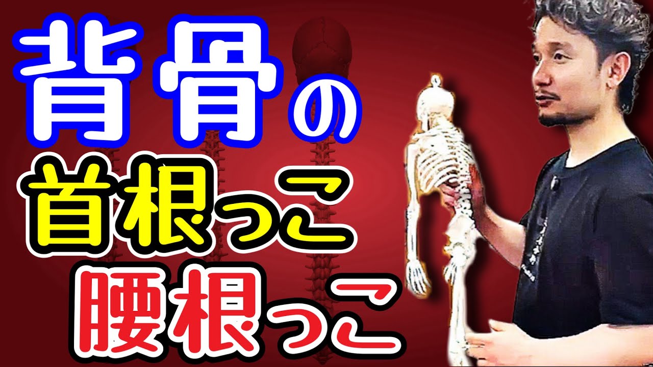 背骨の首根っこ・腰根っこ【身体開発・フィジカリストOuJi】
