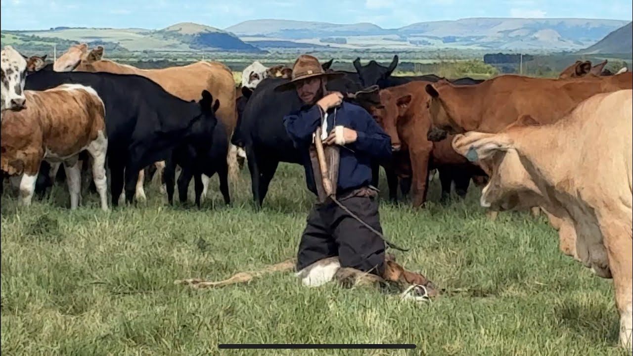 🍀Ep.01 Estância Paraíso Serra do Caverá/uma lida de campo…