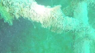 Diving Grand Traverse Bay