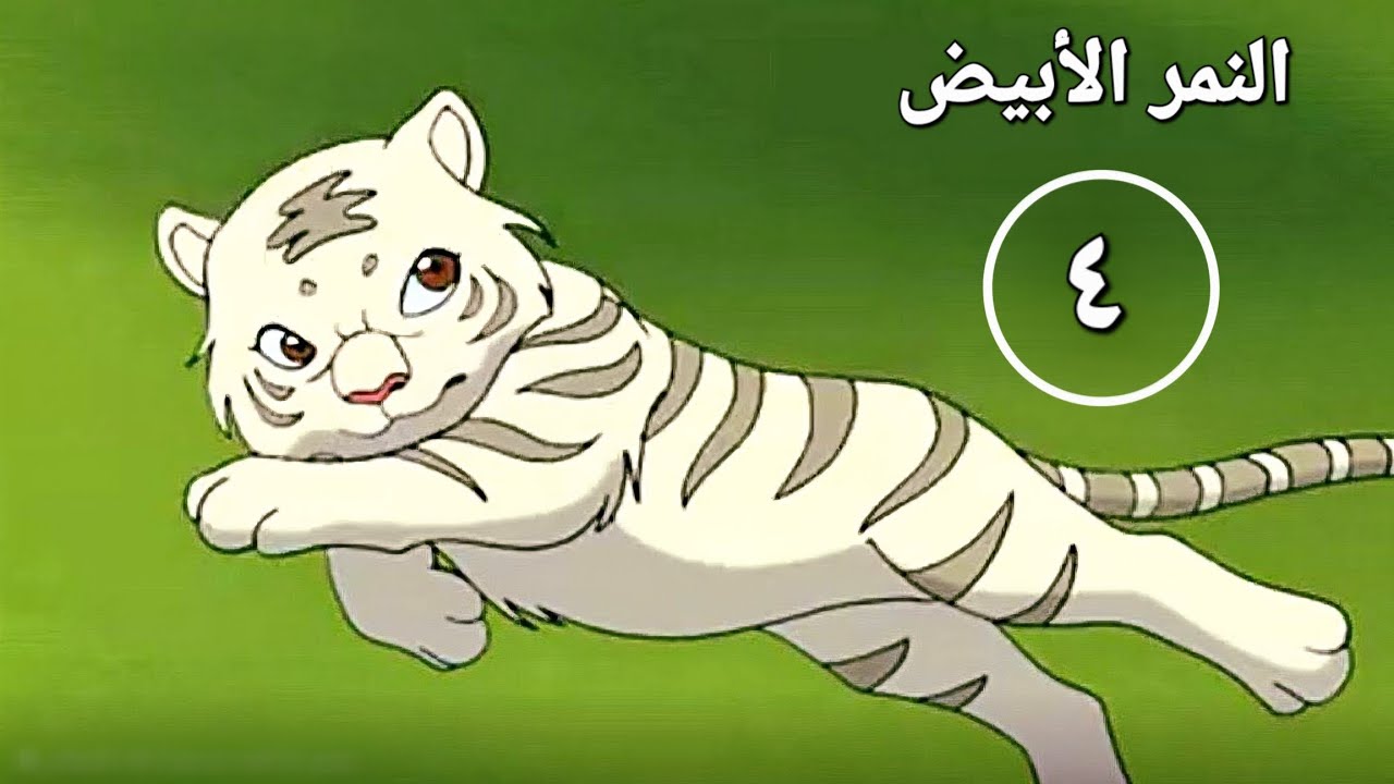 ⁣النمر الأبيض | ٤   أفلام كرتون بدون موسيقى