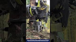 High-Efficiency Tree Harvesting Machine Innovation for Sustainable and Productive Forestry