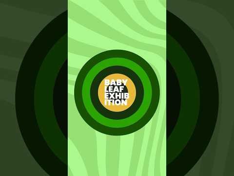 Baby Leaf Exhibition