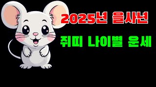 을사년 쥐띠 나이별 운세 #쥐띠운세#양산점집#경남점집#부산용한점집#울산유명한점집