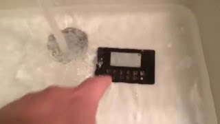 Celebrity BitLox water torture Net Worth