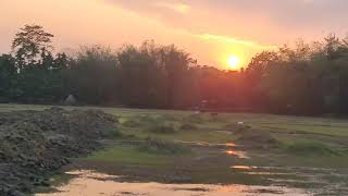 Birds are singing 🤗❣️pleasant sounds of birds |Assam| screenshot 4