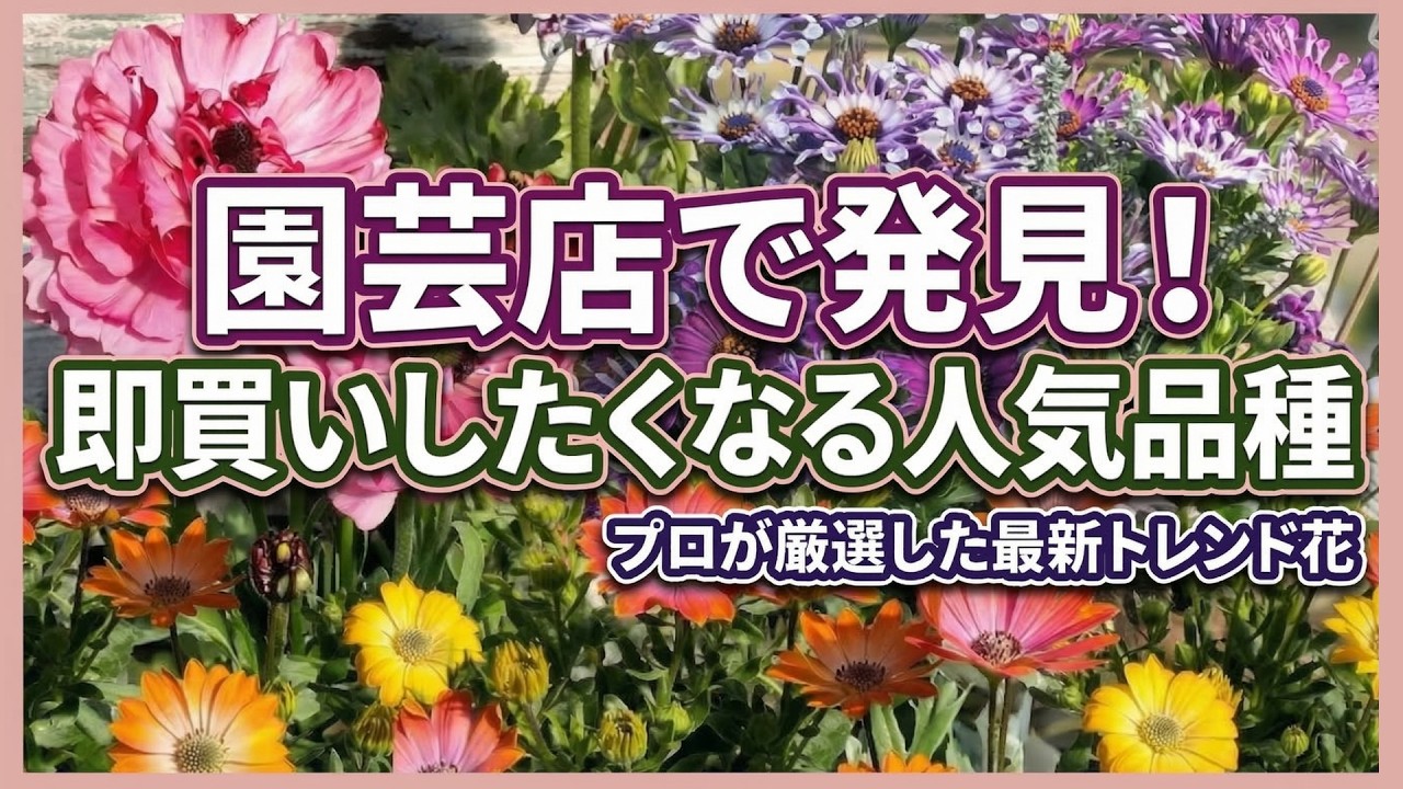 Gardening] What we saw at the garden center in March! The latest