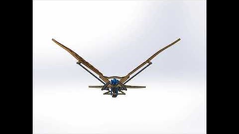 Bird Flapping Mechanism Animation