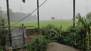 Beautiful Rain Raining Scenery & Nature video || Beautiful Rain Video || DWIJLANG NI BAAR ( Song ).. screenshot 5