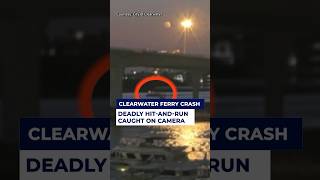 Deadly Clearwater hit-and-run ferry crash #news #florida #clearwater