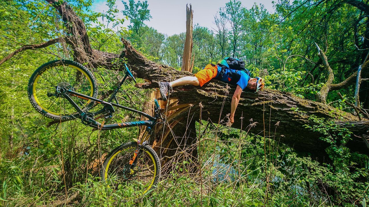 Isar Radweg Freising Munchen Canyon Strive Cf 9 0 Youtube