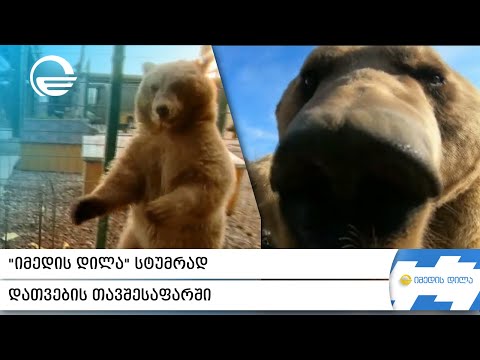 „იმედის დილა“ სტუმრად დათვების თავშესაფარში