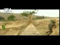 وتبقـى الأسـود أسـود والكلاب كلاب
