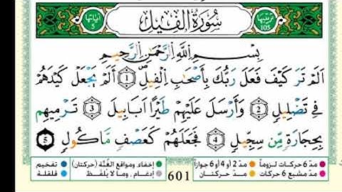 سورة الفيل من مصحف التجويد - توفيق النوري -