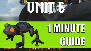 Unit 6 - Mechagon Pet Battle 1 Minute Guide