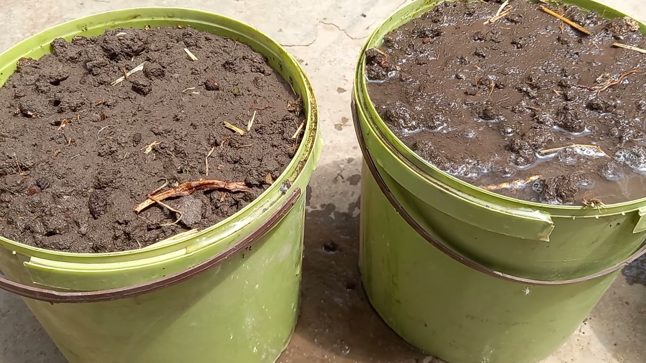 تكوين التربية الصحيحه الصليحة لي زراعة الأسطح وزراعة الملوخية