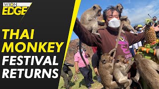 Thailand: Lopburi monkey festival returns as tourists come back | WION Edge