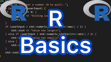 De basisprincipes van de programmeertaal R leren