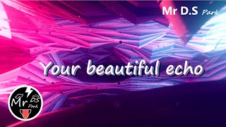 Mr D.S Park - Your Beautiful Echo
