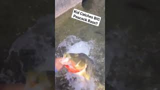 Kid Catches BIG PEACOCK BASS in Miami!!! #fishing #bassfishing