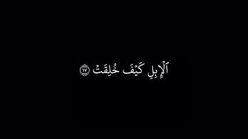 شاشة سوداء || سورة الغاشية || عبد الرحمن مسعد