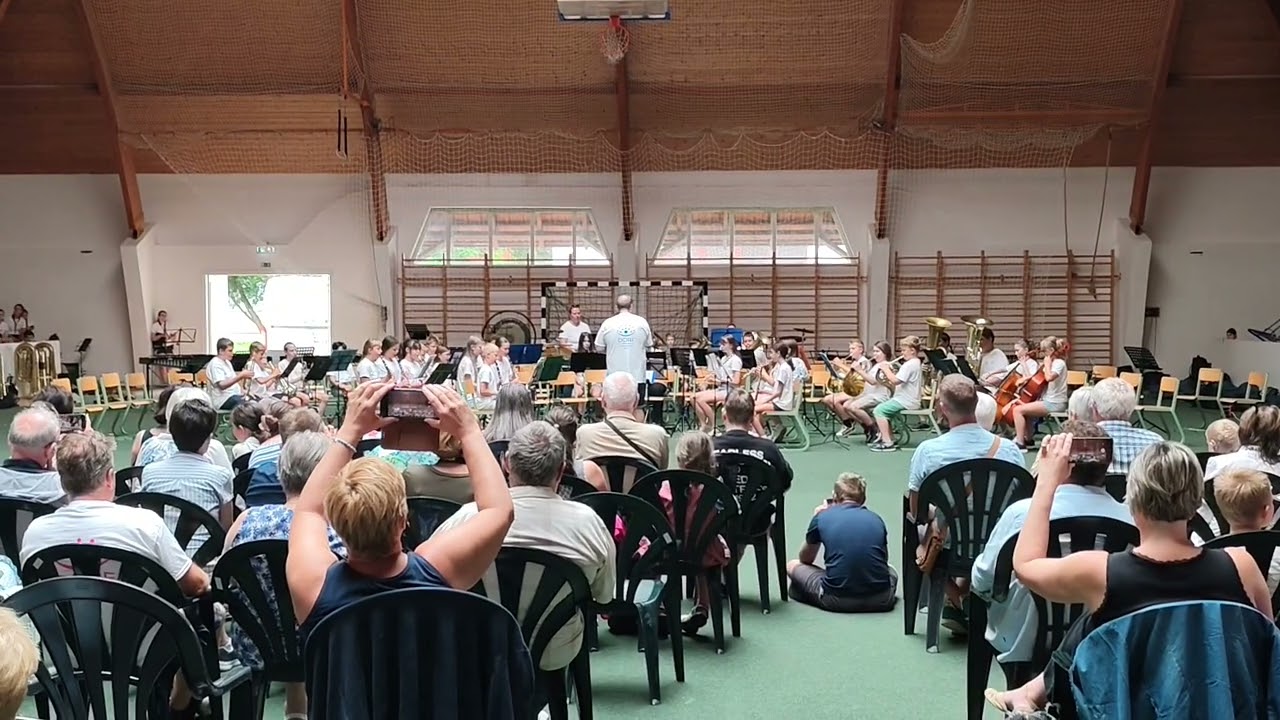 John Williams (Michael Sweeney) - THEME FROM JURASSIC PARK II DDRF Mini