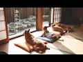 おひさしぶりです！