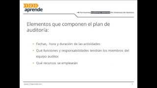 Auditor interno  Plan de auditoria y documentación