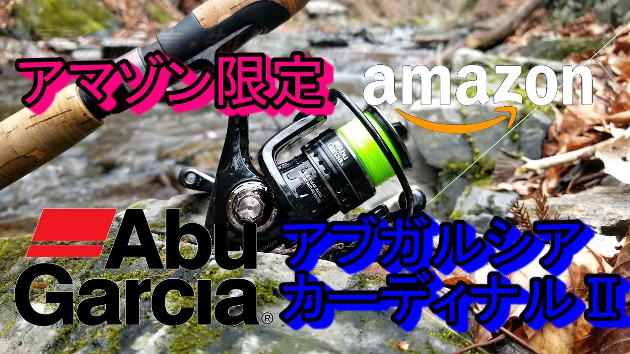 入手困難 アマゾン限定アブガルシアカーディナル Sx Youtube
