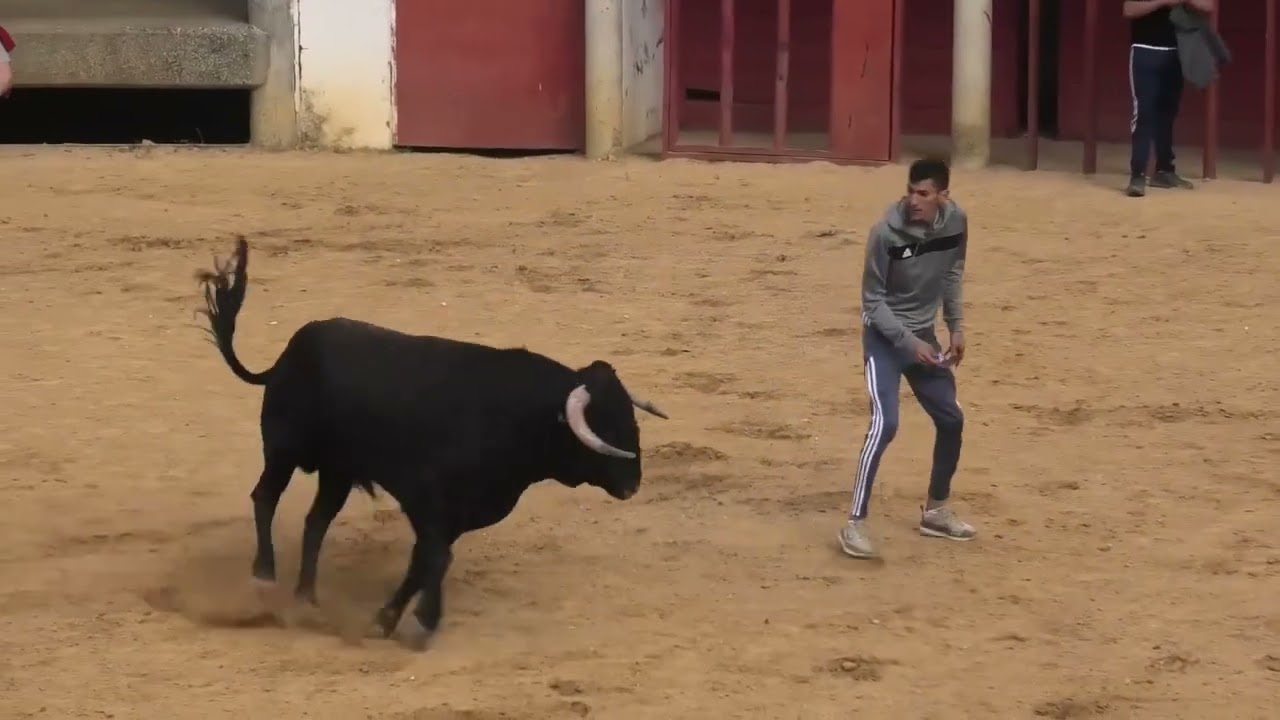 LO MEJOR DEL 2025  TERCERA PARTE