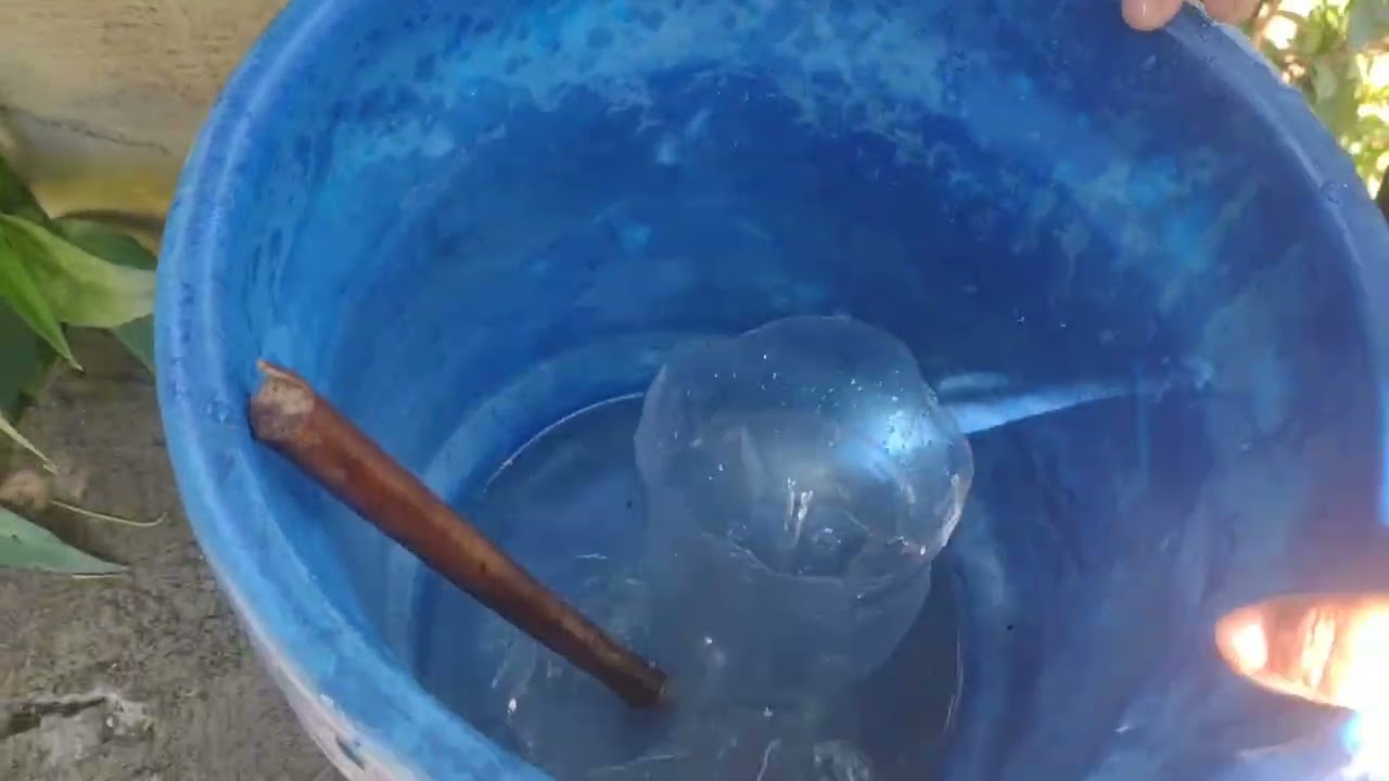 Vitamina para as plantas 