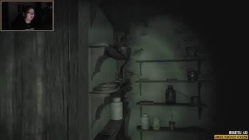 Stream Lets Play: Inheritance - Layers of Fear DLC with Ozz (Part 8)