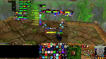 The Unstoppable Force vs. Hakkar The Soulflayer