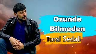 Tural Sedali - Ozunde Bilmeden - 2023 Resimi
