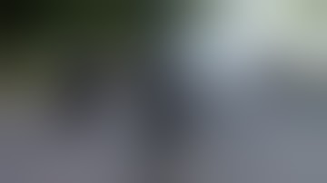 The Swarm 2025 ( Official Video ) 