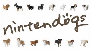 Nintendogs - Bath Time 30 Minute Loop