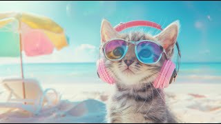 Meowsic Cat  #82  Study Music to Focus  Work Music to Relax ☕ Relaxing Music to Sleep