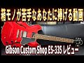 ノーブランド　ES335タイプセミホロウ（ｆホール無し）ギター傷多め・不具合無し セミアコ嫌い集まれ！！】GibsonのES-335について正直にお話しします