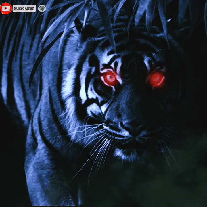 Macan putih prabu siliwangi story wa pendek