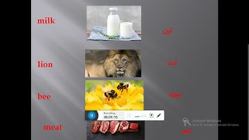 Unit 7  connect plus primary 1 lesson 3-4 - اولى ابتدائى ترم تانى الوحدة 7 الدرس 3-4 منهج كونكت بلس