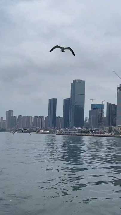 Bohai sea , china tour , dalian city