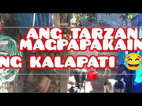 MAY EXTRA SILIP JAN ANG MR WAMOS NG BAGUIO CITY 🤣 @CamaligMixVlogs