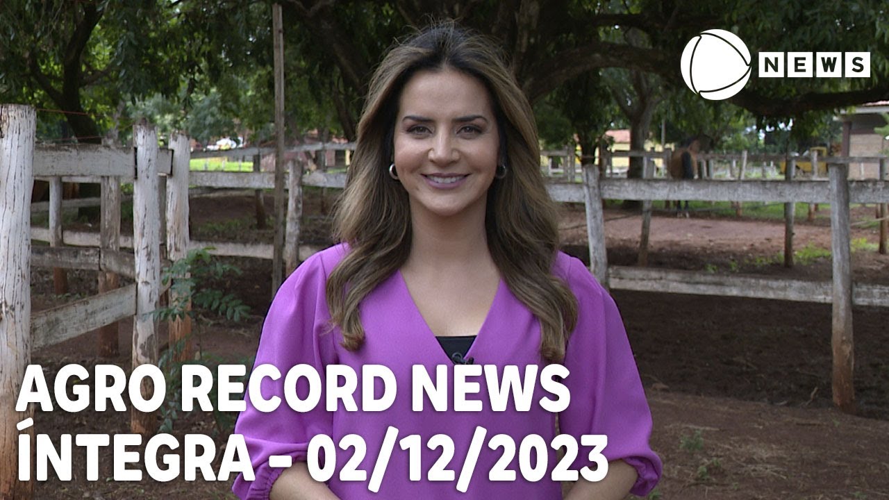 Kelly Godoy no LinkedIn: #kellygodoy #recordnews #pecuaria