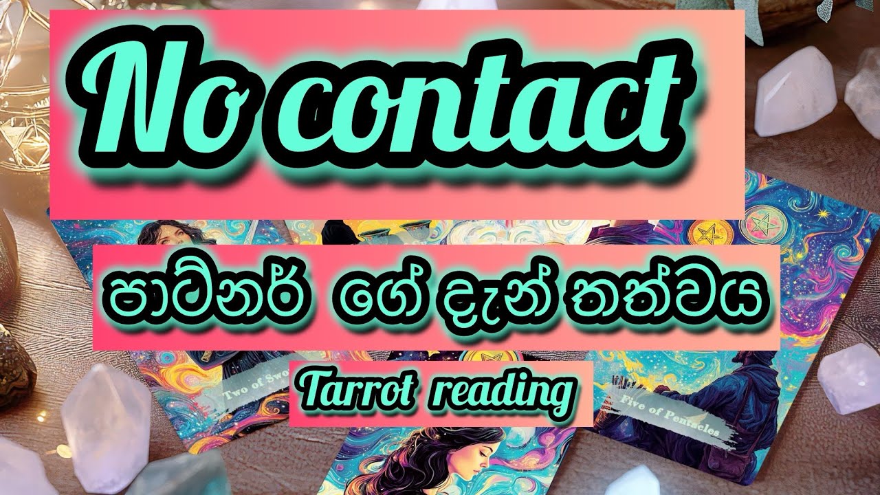 No contact  patner ගේ දැන් තත්වය|ටැරොට් රීඩින් |සිංහල