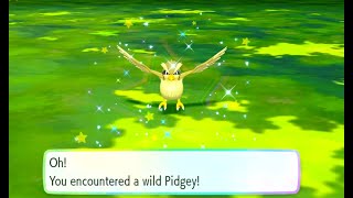 Shiny Pidgey Again? - Pokemon Lets Go Eevee - Lgpe