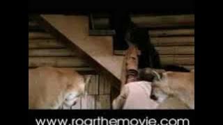 'Tiger Attack' from the movie ROAR