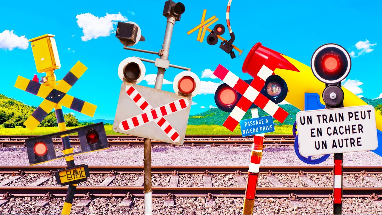 Railroad Crossing Encounters in Madagascar