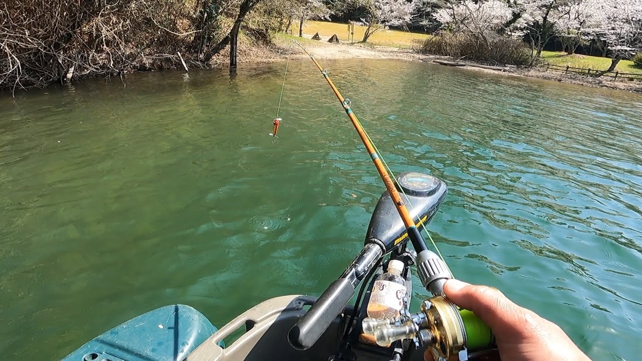 【bass fishing】フロートボート釣行　新年度にトップウォーターしながら環境問題を考える😅　#バス釣り　#トップウォーター　#sdgs