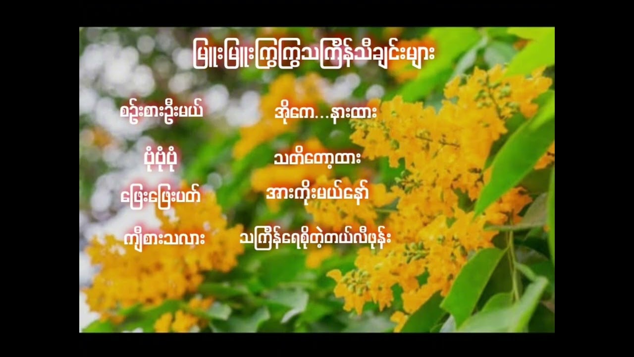 မြူးမြူးကြွကြွသင်္ကြန်သီချင်းများ