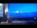 Bird Plays Geometry Dash