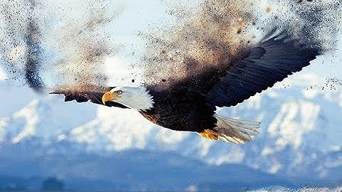 sandstorm photoshop action free download - photoshop action auto play